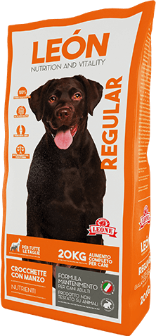 LEÓN pet food cane REGULAR