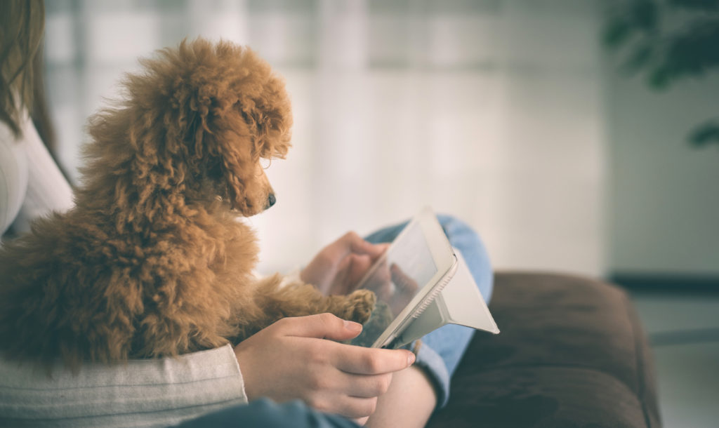 cagnolino guarda un tablet con la sua giovane padroncina