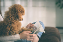 cagnolino guarda un tablet con la sua giovane padroncina