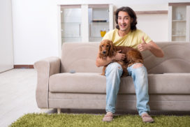 attività per il cane in casa